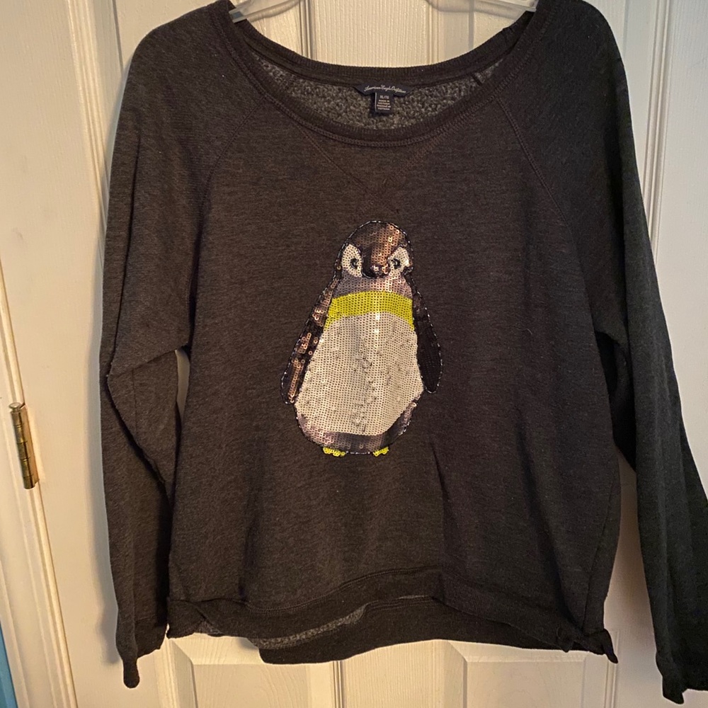 American Eagle Penguin Sweatshirt